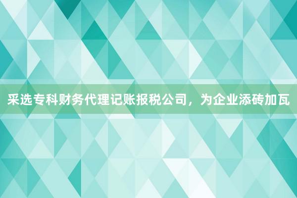 采选专科财务代理记账报税公司，为企业添砖加瓦