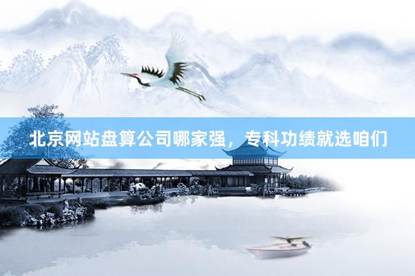北京网站盘算公司哪家强，专科功绩就选咱们
