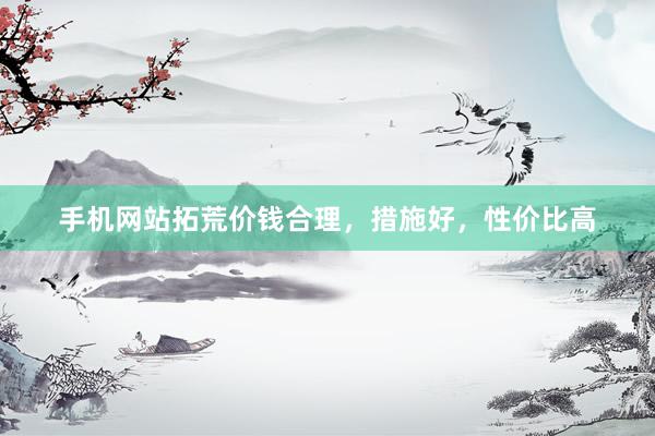 手机网站拓荒价钱合理，措施好，性价比高